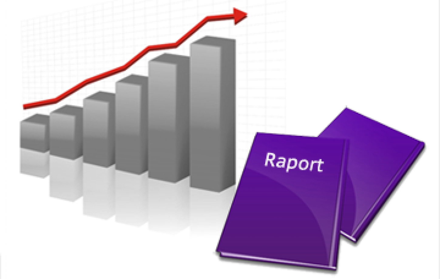 Raportul financiar și Raportului anual ...